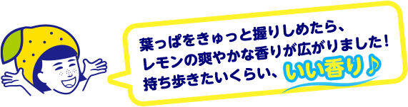 葉っぱをきゅっと握りしめたら、レモンの爽やかな香りが広がりました！持ち歩きたいくらい、いい香り♪