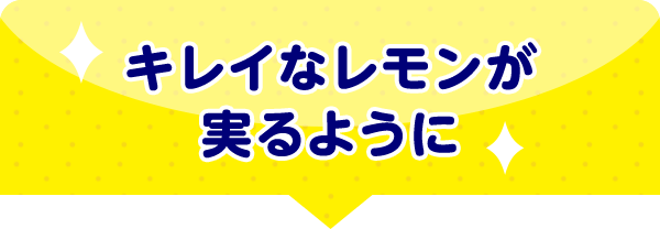 キレイなレモンが実るように