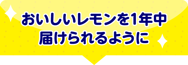 おいしいレモンを1年中届けられるように