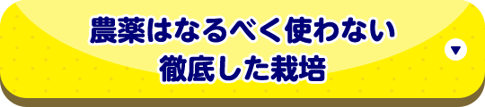 農薬はなるべく使わない徹底した栽培