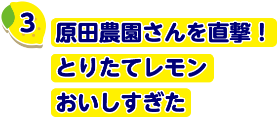 原田農園さんに直撃！とりたてレモンおいしすぎた