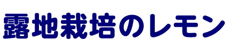 露地栽培のレモン