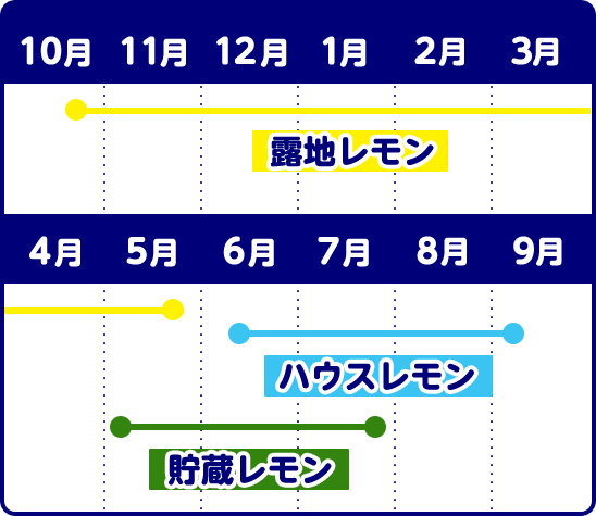 レモンの販売時期