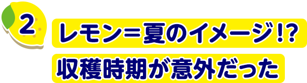 レモン＝夏のイメージ？収穫時期が意外だった