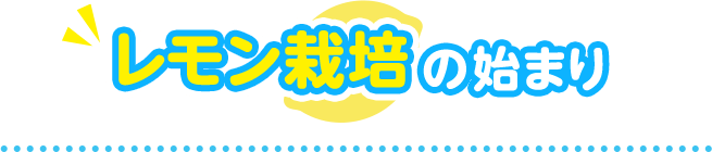 レモン栽培のはじまり