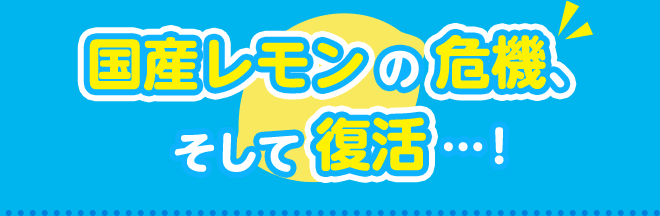 国産レモンの危機、そして復活…！！