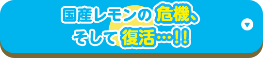 国産レモンの危機、そして復活…！！