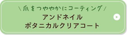 爪をつややかにコーティング アンドネイル ボタニカルクリアコート