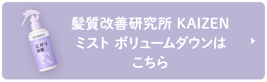 髪質改善研究所 KAIZEN ミスト ボリュームダウンは こちら