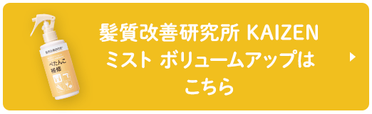 髪質改善研究所 KAIZEN ミスト ボリュームアップは こちら