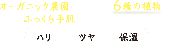 オーガニック農園で育てられた6種の植物が、ふっくら手肌のために、届きました。 ハリ×ツヤ×保湿