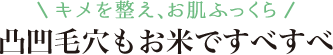 キメを整え、お肌ふっくら 凸凹毛穴もお米ですべすべ