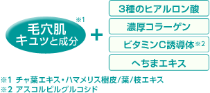 毛穴肌キュッと成分（※1 チャ葉エキス・ハマメリス樹皮/葉/枝エキス）＋3種のヒアルロン酸・濃厚コラーゲン・ビタミンC誘導体（※2 アスコルビルグルコシド）・へちまエキス