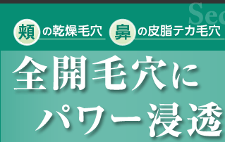 頬の乾燥毛穴　鼻の皮脂テカ毛穴　全開毛穴にパワー浸透