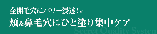 全開毛穴にパワー浸透！※ 頬&鼻毛穴にひと塗り集中ケア
