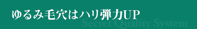 ゆるみ毛穴はハリ弾力UP