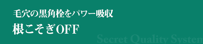 毛穴の黒角栓をパワー吸収 根こそぎOFF