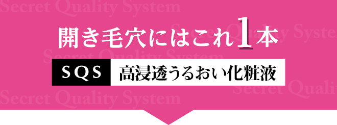 開き毛穴にはこれ1本 SQS 高浸透うるおい化粧液