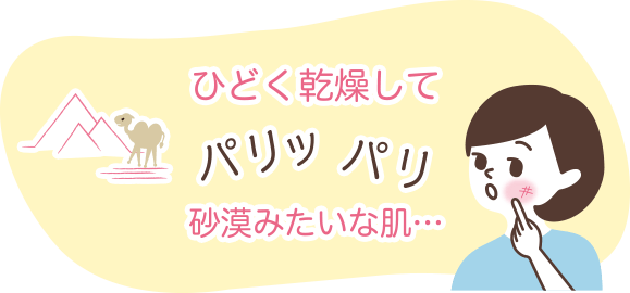 ひどく乾燥してパリッパリ砂漠みたいな肌・・・