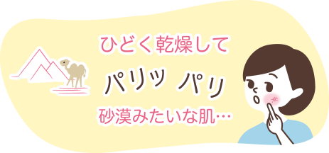 ひどく乾燥してパリッパリ砂漠みたいな肌・・・