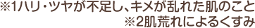 ※1肌荒れによるくすみ ※2ハリ・ツヤが不足し、キメが乱れた肌のこと