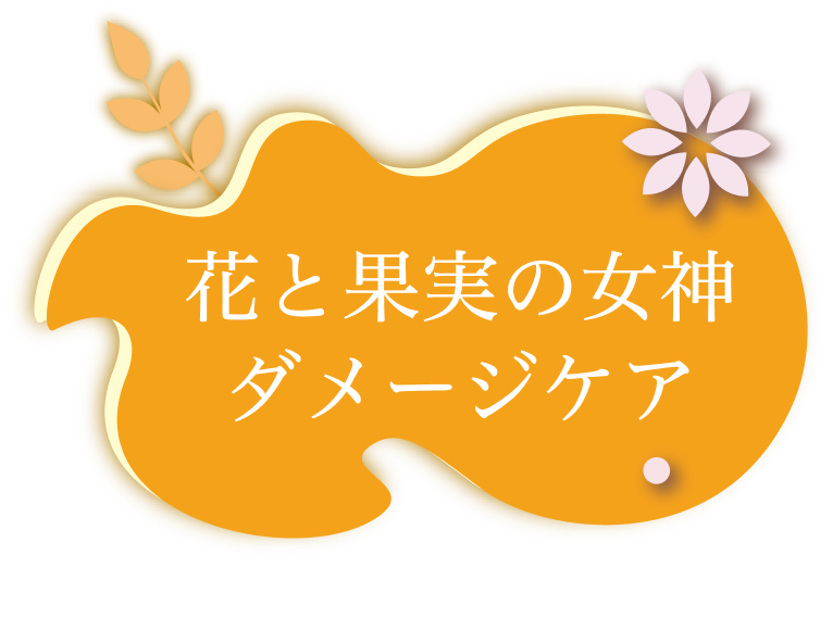 花と果実の女神　ダメージケア