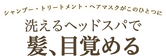 シャンプー・トリートメント・ヘアマスクがこのひとつに 洗えるヘッドスパで髪、目覚める