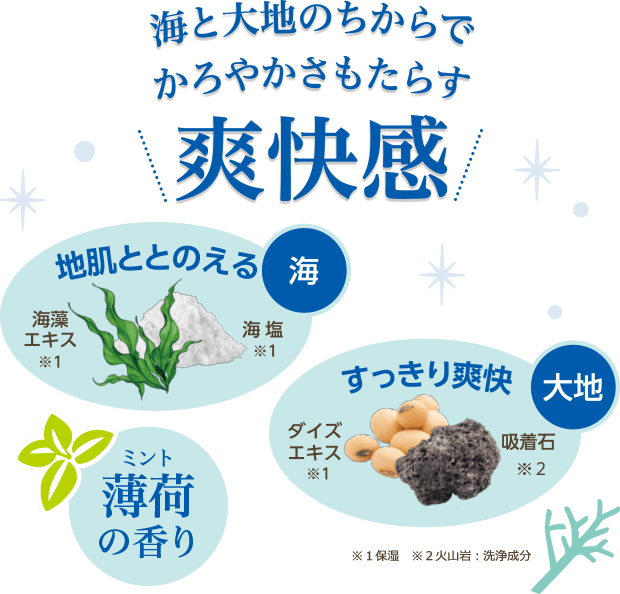 海と大地のちからでかろやかさもたらす爽快感 海 地肌ととのえる 海藻エキス 海塩 大地 すっきり爽快 ダイズエキス 吸着石 薄荷（ミント）の香り ※１保湿 ※２火山岩：洗浄成分