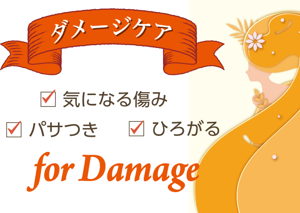 ダメージケア 気になる傷み パサつき ひろがる for Damage