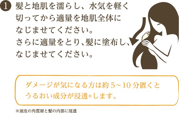 髪と地肌を濡らし、水気を軽く切ってから適量を地肌全体になじませてください。さらに適量をとり、髪に塗布し、なじませてください。 ダメージが気になる方は約5〜10分置くとうるおい成分が浸透※します。 ※頭皮の角質層と髪の内部に浸透