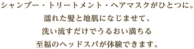 シャンプー・トリートメント・ヘアマスクがひとつに。濡れた髪と地肌になじませて、洗い流すだけでうるおい満ちる至福のヘッドスパが体験できます。