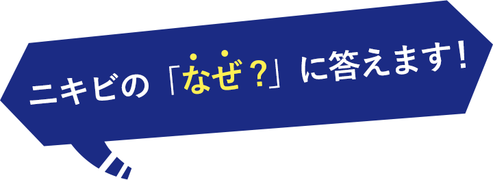 ニキビの「なぜ」に答えます ニキビ研究所　タイムレスキュー　ニキトル薬用アクネスポッツペースト