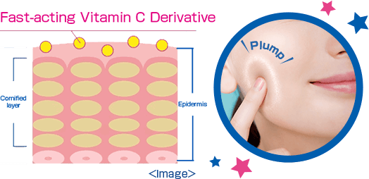 Fast-acting Vitamin C Derivative　Plump