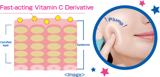 Fast-acting Vitamin C Derivative  Plump