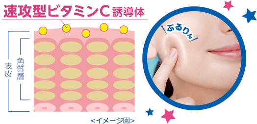 速攻型ビタミンC誘導体　ぷりん