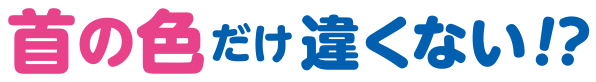 首の色だけ違くない！？
