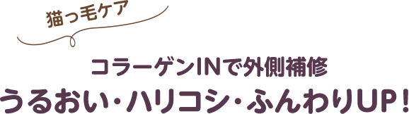 コラーゲンINで外側補修 うるおい・ハリコシ・ふんわりUP！