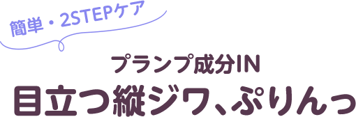 LIPAID　リップエイド集中マスク（プランパー）