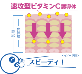 速攻型ビタミンC誘導体 スピーディ