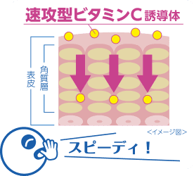 速攻型ビタミンC誘導体　スピーディ