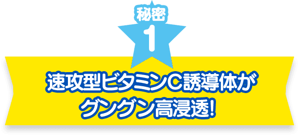 秘密1　速攻型ビタミンC誘導体がグングン高浸透！