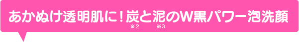 あかぬけ透明肌に！炭（※2）と泥（※3）のＷ黒パワー泡洗顔