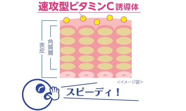 速攻型ビタミンC誘導体