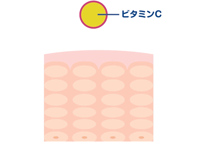 そのままの形でビタミンCとして効果を発揮
