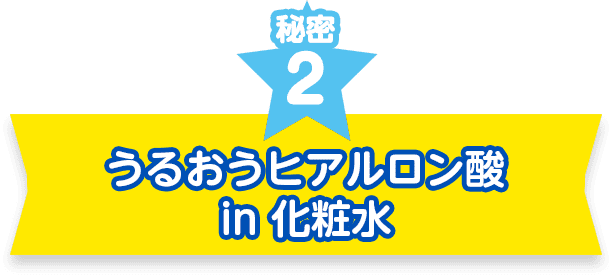 秘密２　うるおうヒアルロン酸 in 化粧水